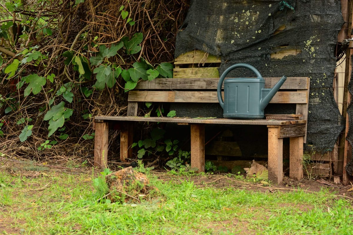 Festival Jardins Abertos: Agrofloresta BelaFlor