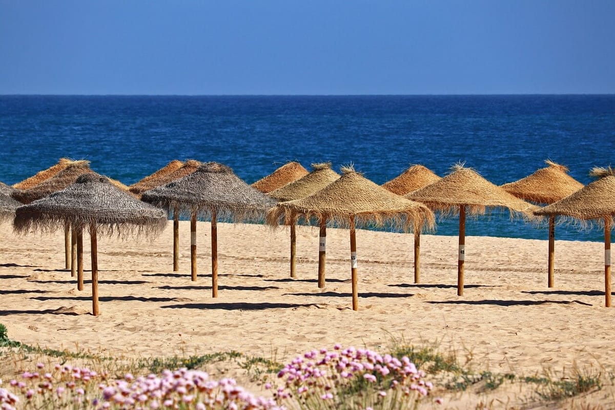 Dependência de turistas não residentes atinge em 2024 máximo desde 2018 - INE