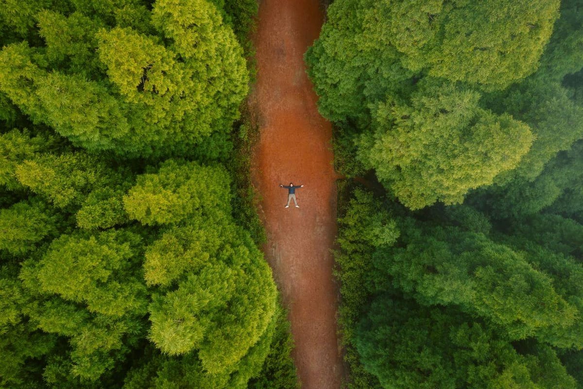 Viver no cenário de um filme Descubra onde foram rodados os seus filmes favoritos!