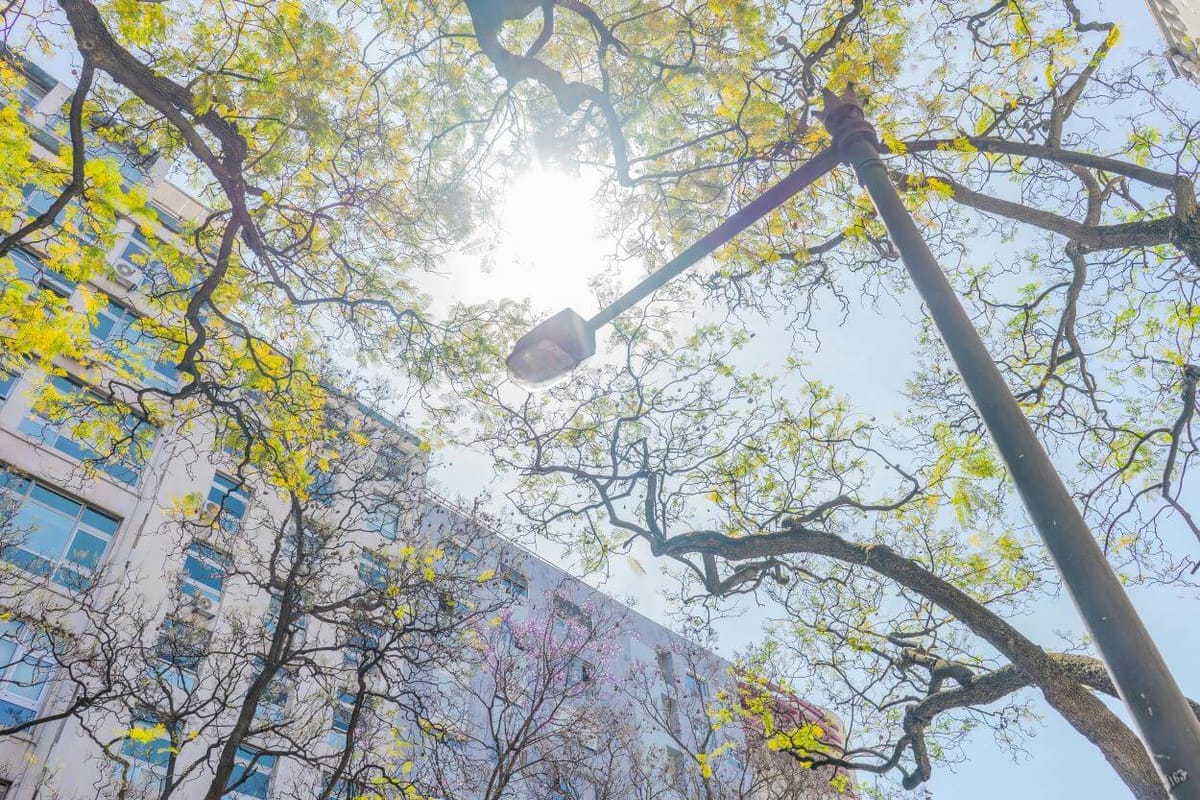 Lisboa aposta em construção mas deve prosseguir com reabilitação