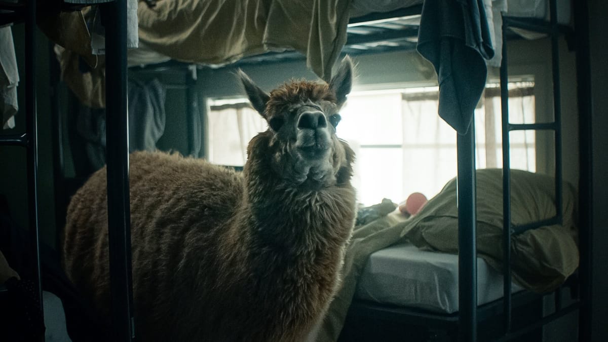 Lugares para quem gosta de ser maltratado