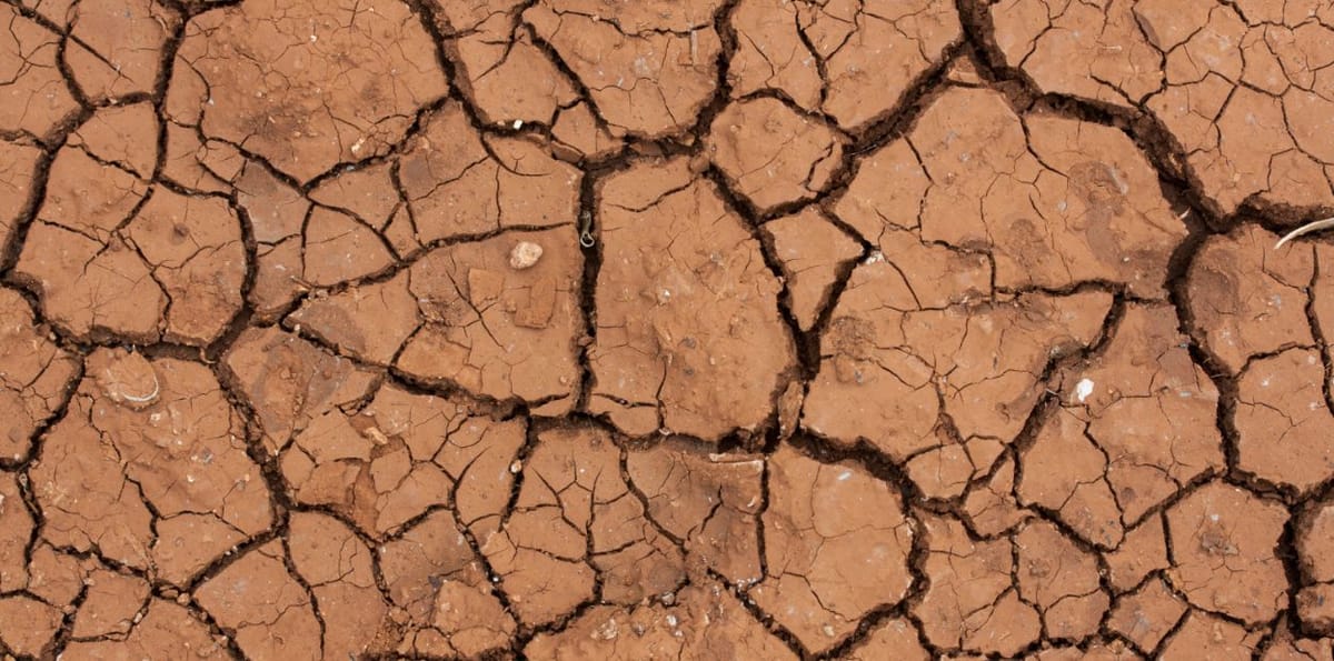 Lei dos solos: Governo, municípios e especialistas chamados ao parlamento