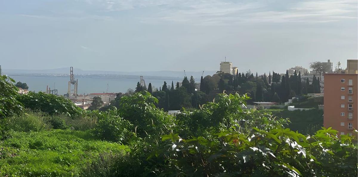 Lisboa aprova loteamento de terrenos no Beato onde prevê 204 novas casas