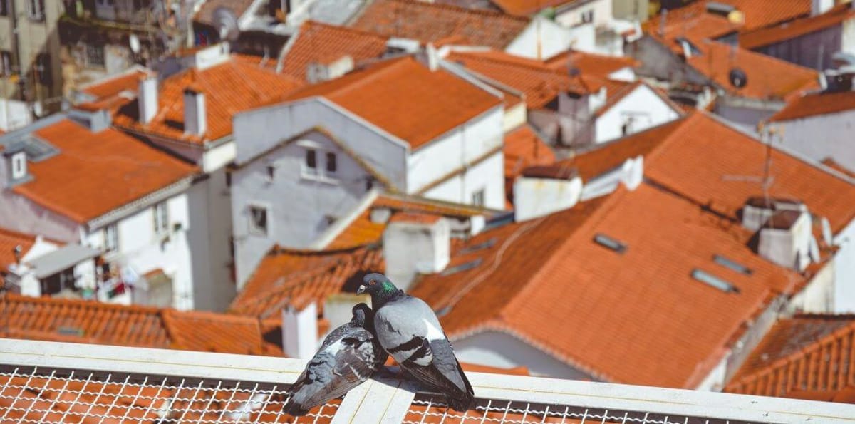 Bancos só aceitaram um terço dos pedidos de fixação da prestação