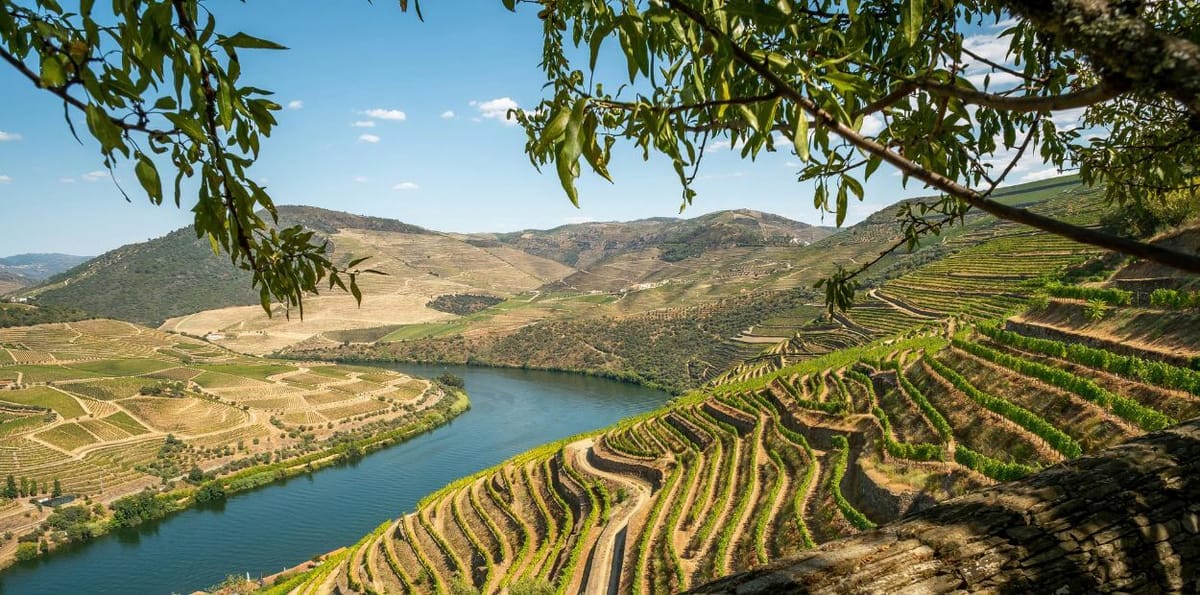 Portugal capta investimento polaco com imóveis de luxo no Algarve e Porto