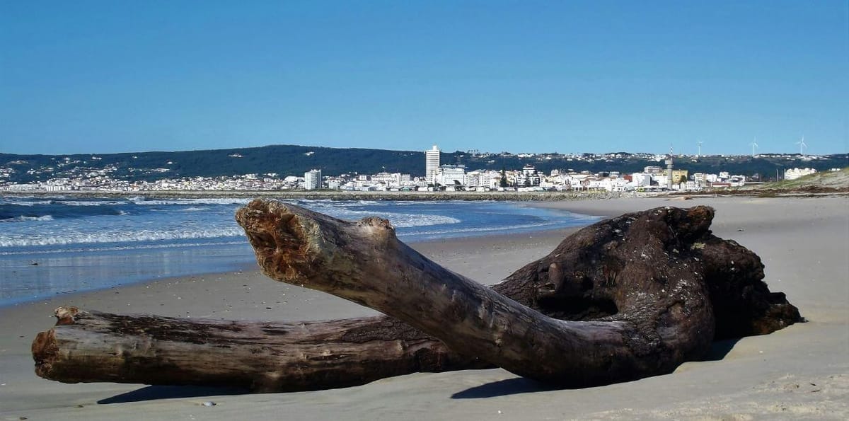 Investimento estrangeiro no Centro do país cresce 59%