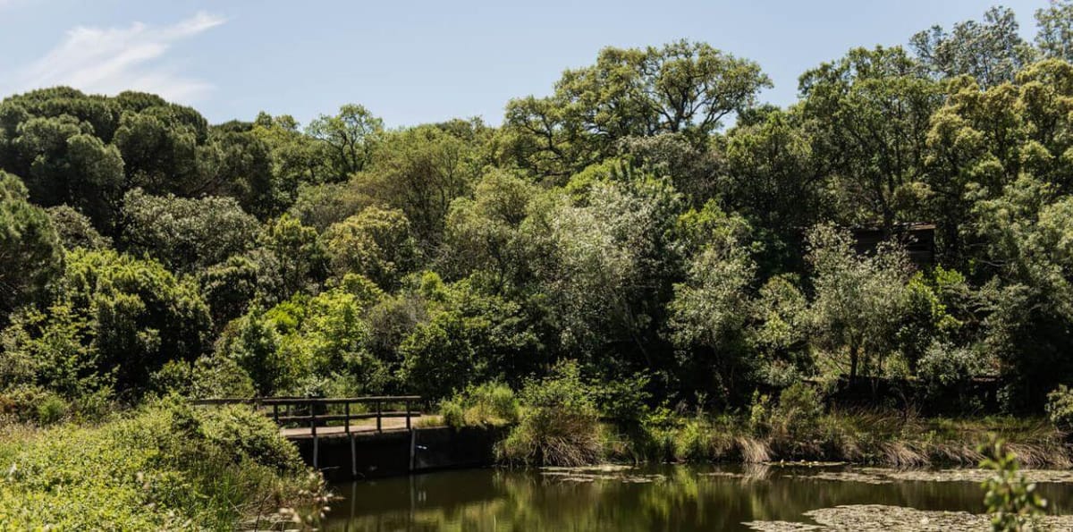 Jardins secretos e abertos