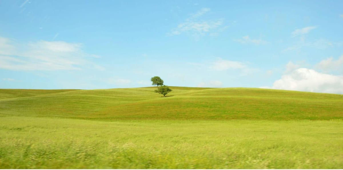 Reclassificação de solos rústicos para urbanos com poucos pedidos para habitação