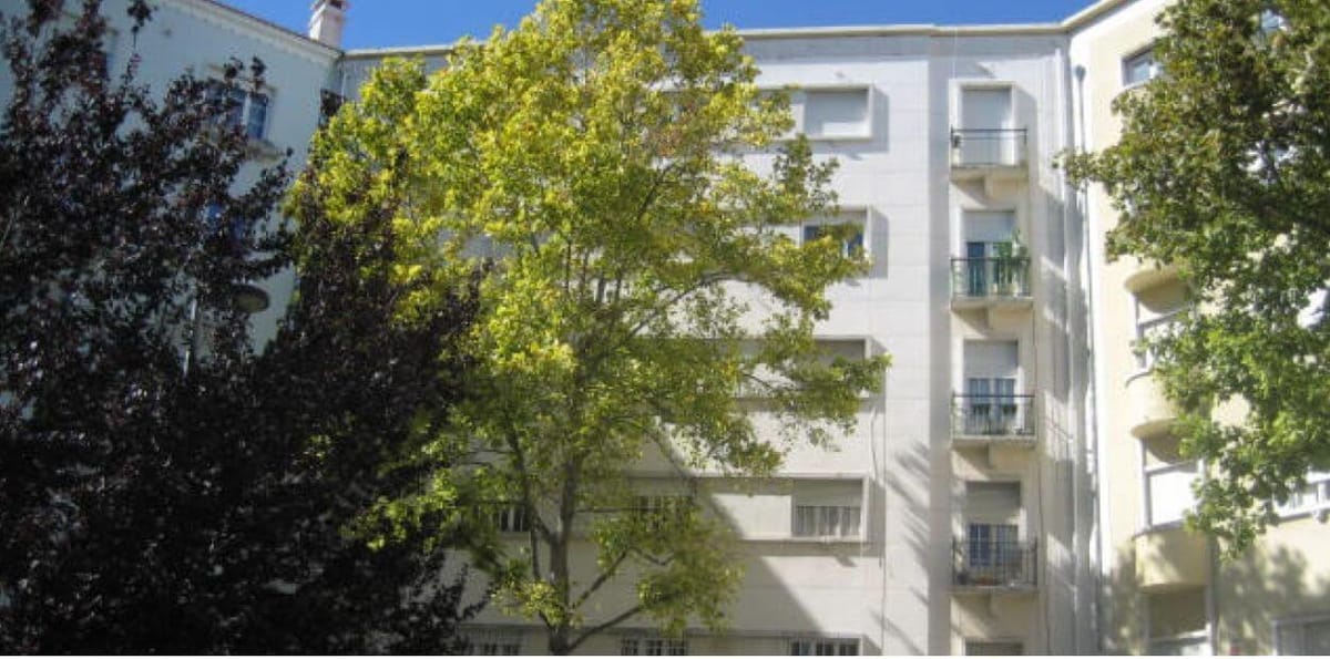 Rendas acessíveis: IHRU abre concurso para 39 casas em seis concelhos