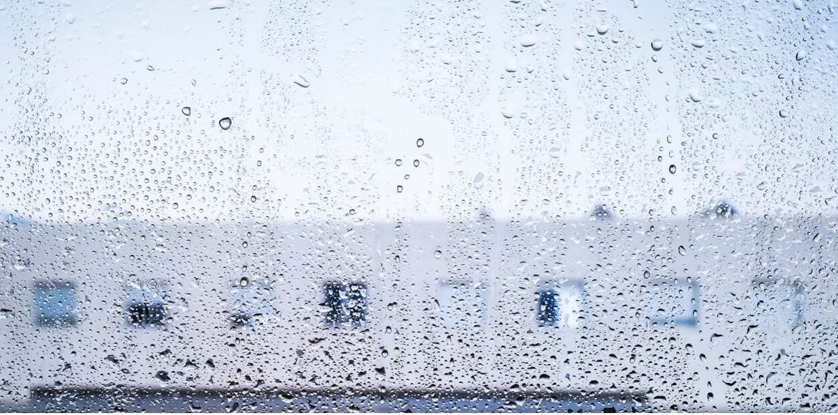 como o Governo quer apoiar famílias e empresas afetadas pela depressão Kristin