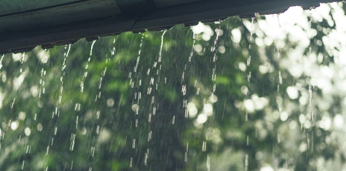 Casa danificada pelo mau tempo? Saiba que apoios existem e como aceder