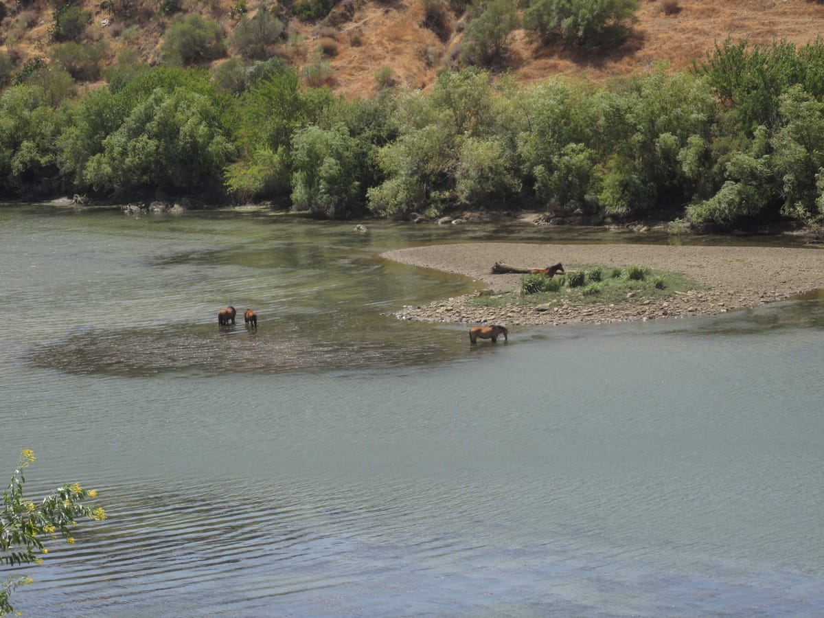 Destinos de sonho para uma escapadinha económica: Mértola