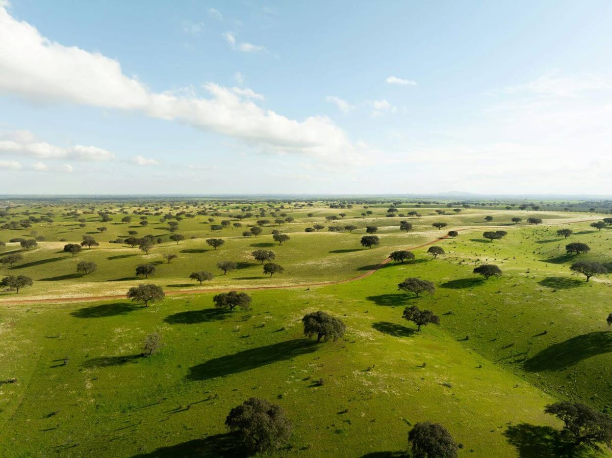 Construções em solos rústicos tem riscos de “sustentabilidade ambiental”, diz ANMP