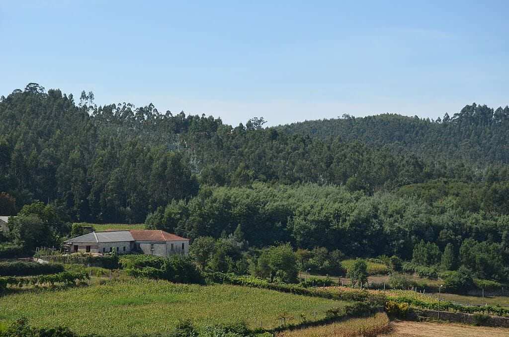 Câmara da Trofa quer comprar 100 imóveis num investimento de 15ME