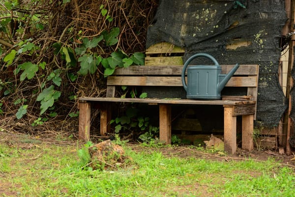 Festival Jardins Abertos: Agrofloresta BelaFlor