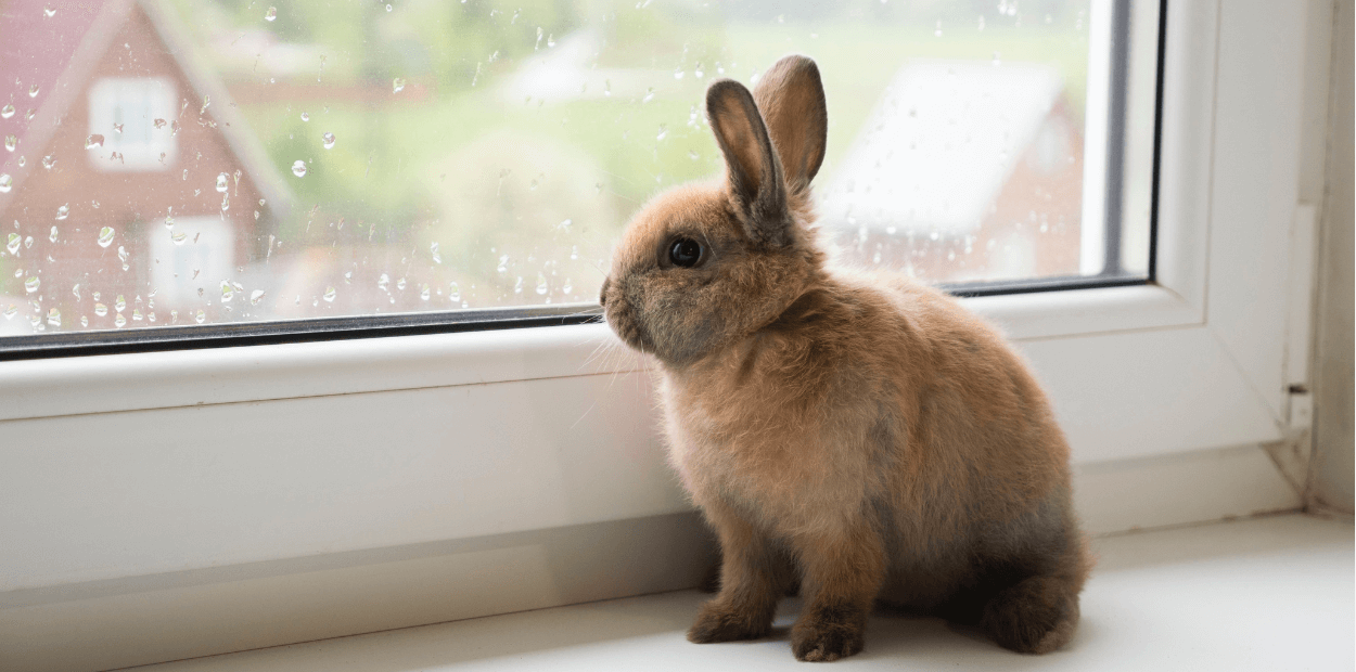 Será que sofre de parascavedecatriafobia?