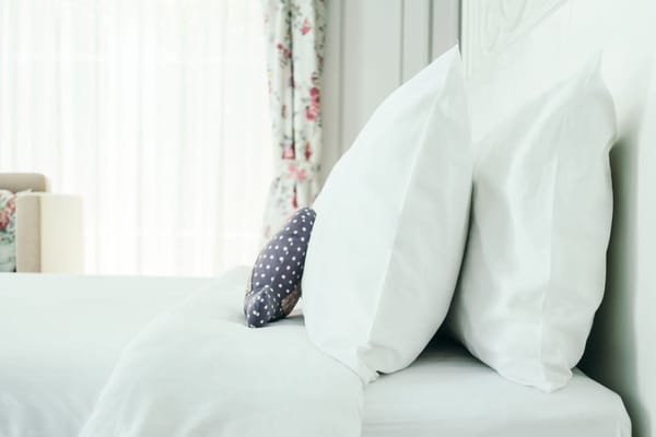 Metade dos alunos deslocados do ensino superior vive em quartos sem contrato