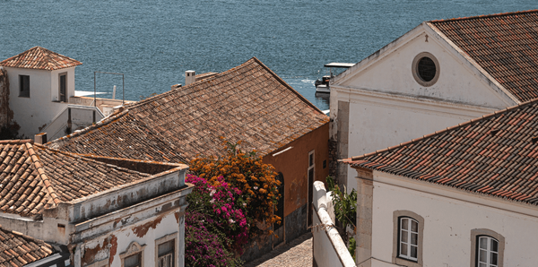 IMI: Valor da isenção temporária subiu 63% em 2022