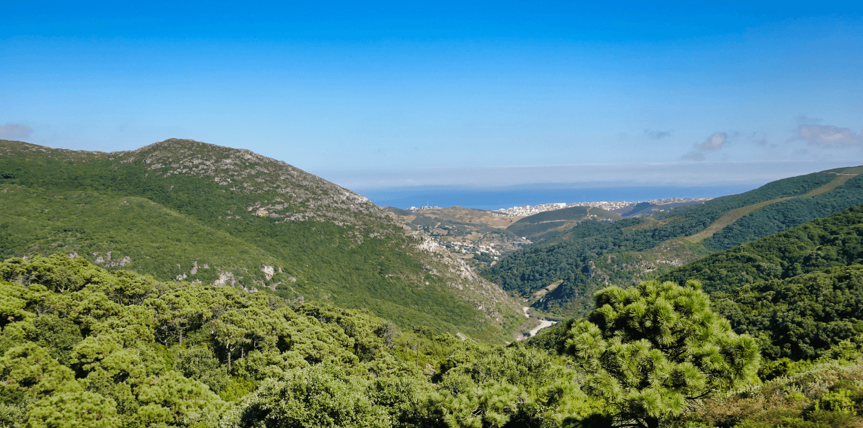 Fundo Land quer captar 500 ME e comprar terrenos em 2024