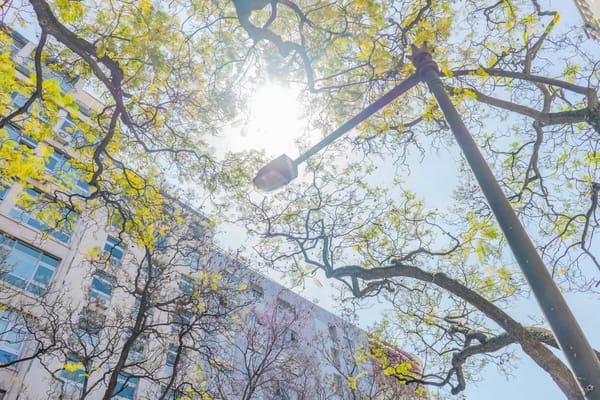 Lisboa aposta em construção mas deve prosseguir com reabilitação