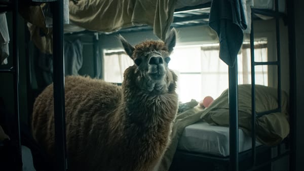 Lugares para quem gosta de ser maltratado