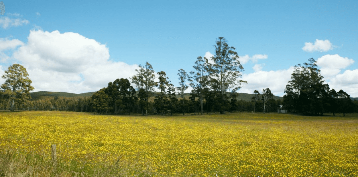 PR promulga decreto do parlamento que altera lei dos solos