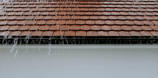 Apoios até 5 mil euros para casas danificadas devem ser pagos em três dias