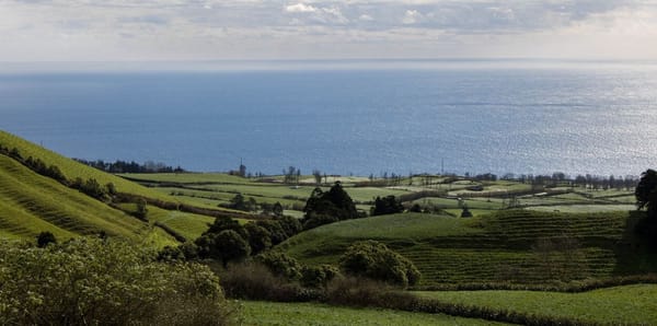 Terrenos da Azores Parque avaliados em mais de 935 mil euros vendidos em leilão