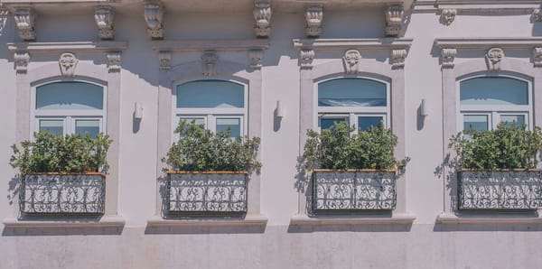 Mais obras, mais vendas e preços a subir: o retrato do mercado em 2024