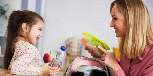 Guia para uma lancheira feliz: lanches fáceis, saudáveis, e aprovados pelos miúdos