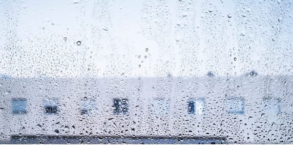 como o Governo quer apoiar famílias e empresas afetadas pela depressão Kristin