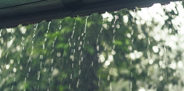 Casa danificada pelo mau tempo? Saiba que apoios existem e como aceder