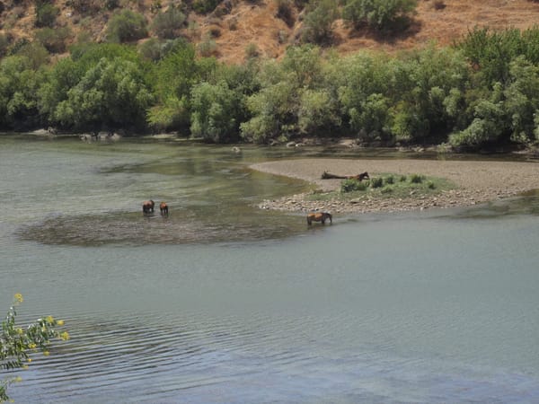 Destinos de sonho para uma escapadinha económica: Mértola