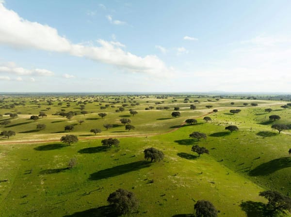 Construções em solos rústicos tem riscos de “sustentabilidade ambiental”, diz ANMP
