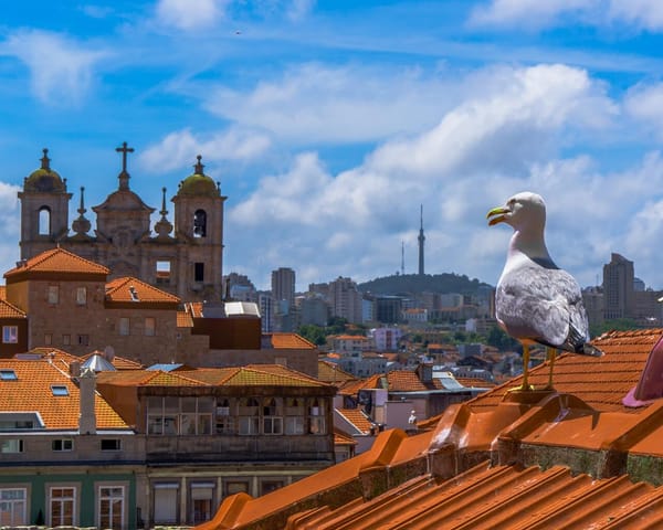 Avaliação bancária na habitação recua 5 euros por m2