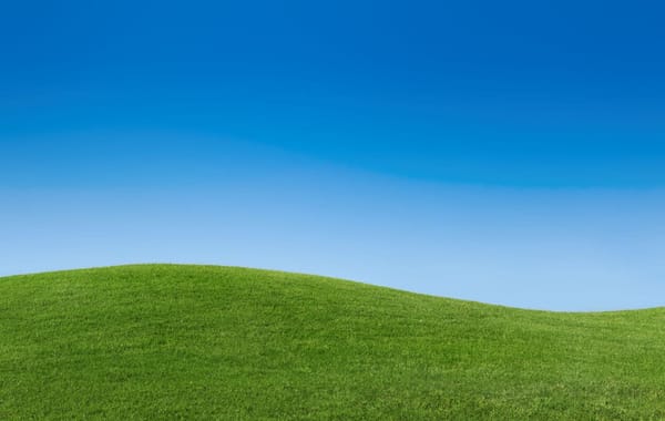 Parlamento aprovou alterações à construção em solos rústicos