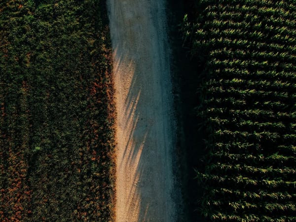 BUPi identifica 28% de propriedades no continente e 3% na região da Madeira