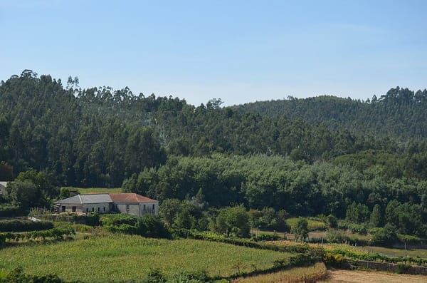 Câmara da Trofa quer comprar 100 imóveis num investimento de 15ME